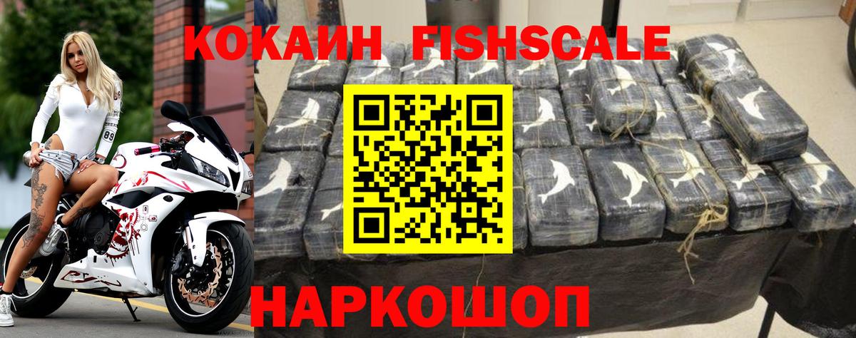 COCAIN  Cocaine Fish Scale  Вход с VPN  Кашира 