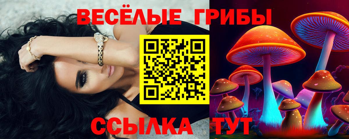 Псилоцибиновые грибы Cubensis Кашира