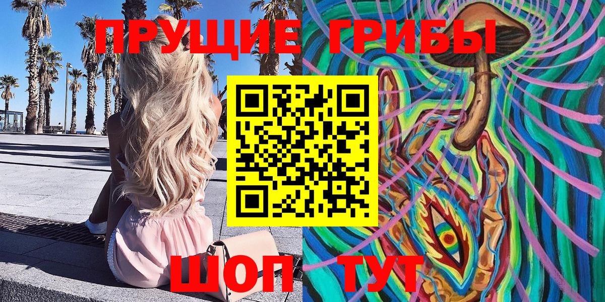 Кашира  Псилоцибиновые грибы мухоморы  Вход с VPN 